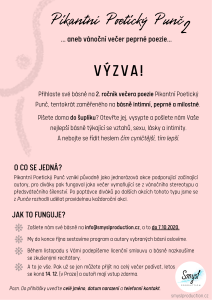 Výzva