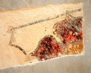 na klenbě bylo nalezeno 26 znakových štítků z doby zaklenutí kostela roku 1513 – detail rožmberského erbu s červenou pětilistou růží a neznámým erbem. (foto R. Lavička, únor 2012)