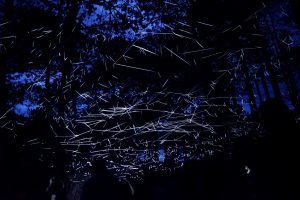 BLIK BLIK Festival se přesouvá na neurčito