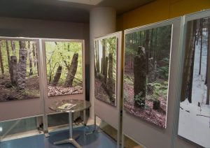 Velkoformátové fotografie dokumentují zbytky architektonických památek