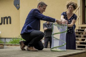 Starosta Vladimír Kořen - vypouštění motýlů