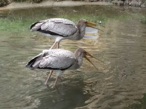 Bratři