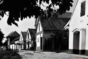 Historická podoba vinařských sklepů