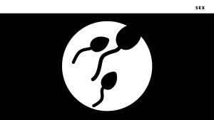Ikona sex