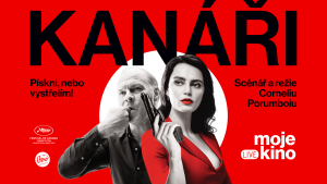 Kanáři