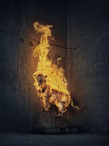 Lion in flames