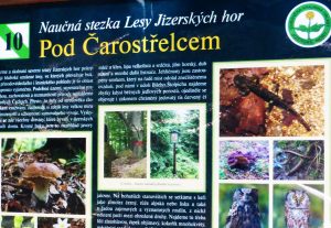 Řadu stezek doprovázejí informační tabule, Čarostřelec připomíná operu C. M. Weberta.