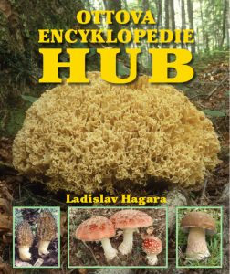 Ottova encyklopedie hub