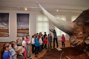 Foto Jiří Preclík, Muzeum města Ústí nad Labem