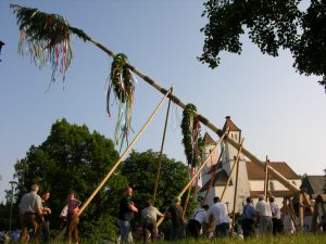 Kirwabaum Aufstellen