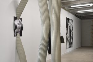 Z expozice