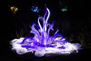 Botanická zahrada Praha připravuje druhý ročník výstavy Křišťálová zahrada ve spolupráci s Jiřím Pačinkem.