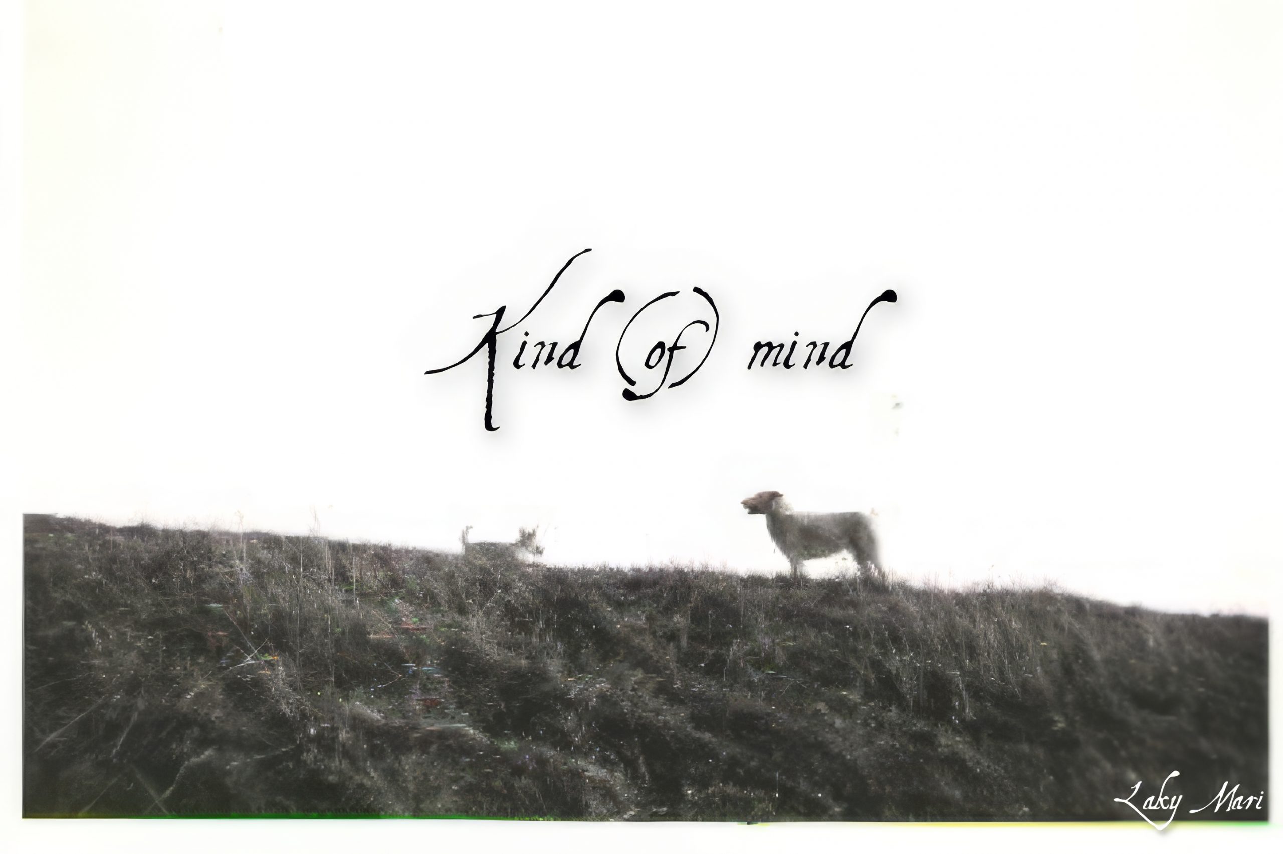 Cover foto alba Kind (of) mind