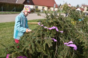 Zdobení velikonočního stromu.