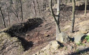 Zřícenina rozsáhlého hradu Prácheň, budovaného od roku 1315