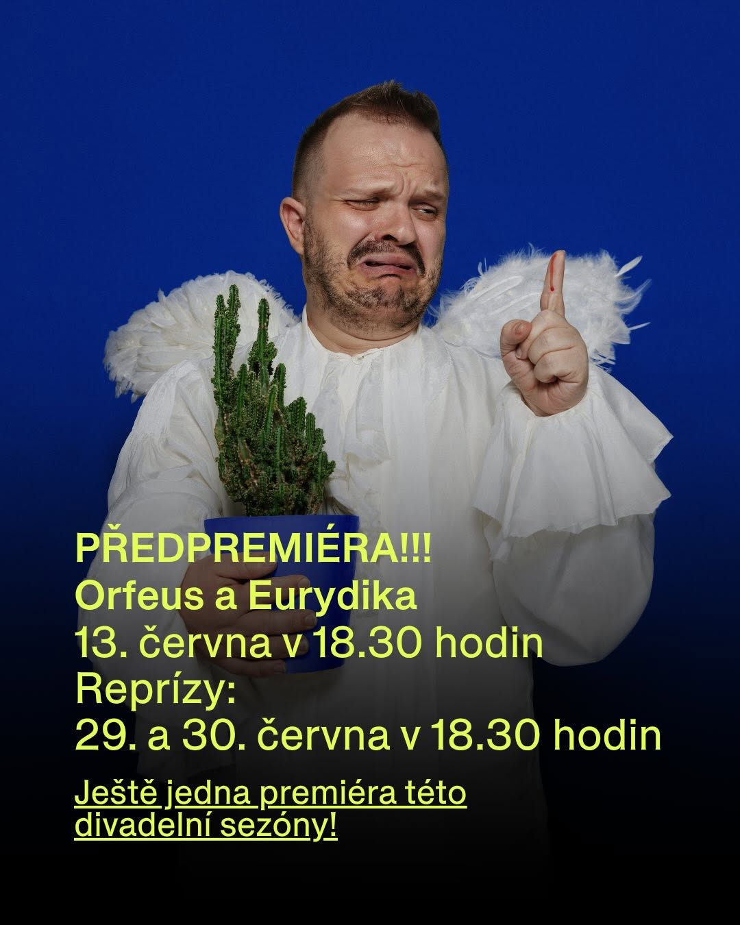 Vizuál k inscenaci
